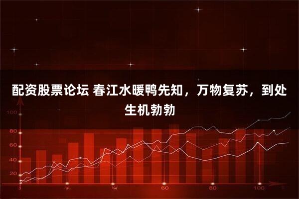 配资股票论坛 春江水暖鸭先知，万物复苏，到处生机勃勃