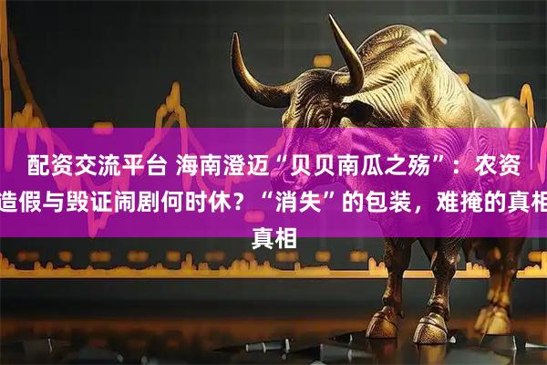 配资交流平台 海南澄迈“贝贝南瓜之殇”：农资造假与毁证闹剧何时休？“消失”的包装，难掩的真相